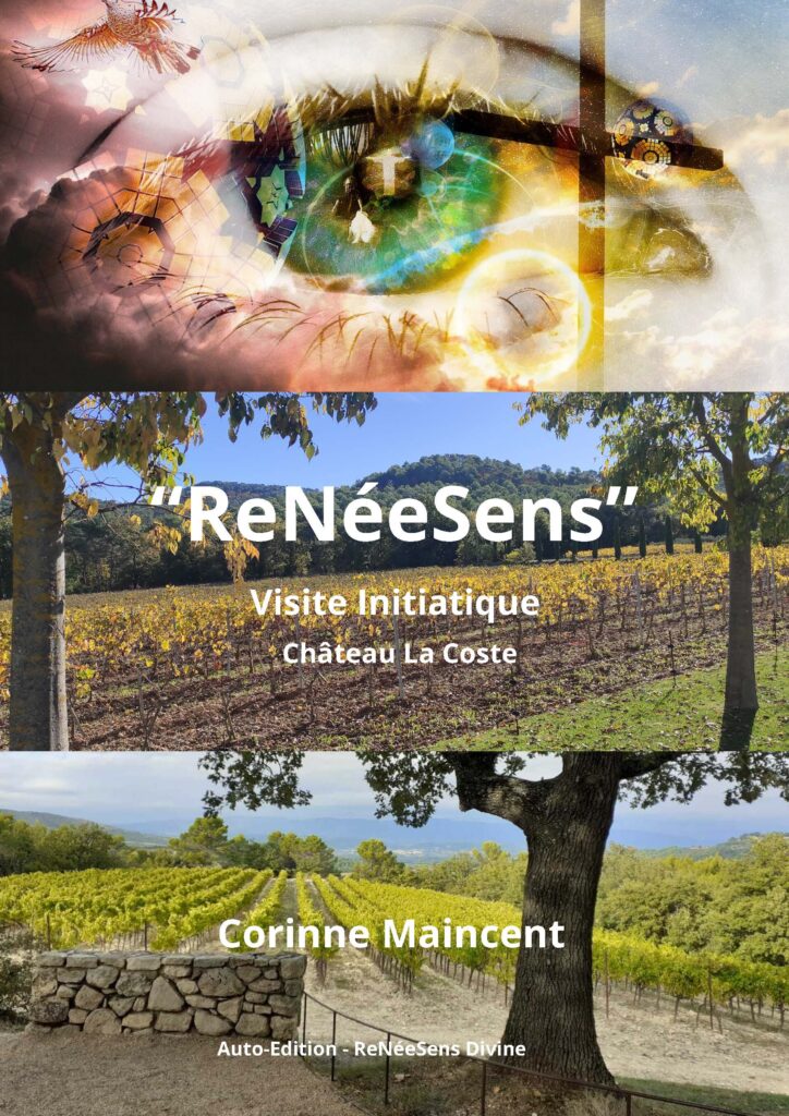 Couverture livre ReNéeSens, ReBirth, ReNacimiento